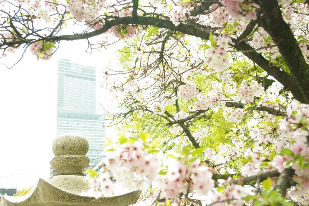 Love hotel Casablanca (adults Only) Osaka
