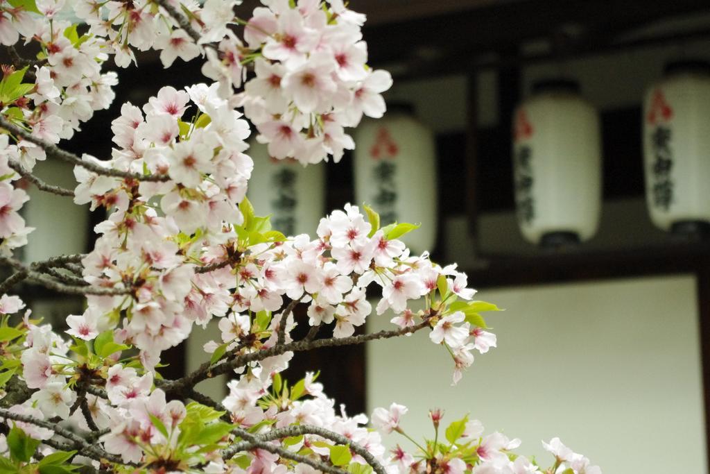 Casablanca (adults Only) 2* Osaka