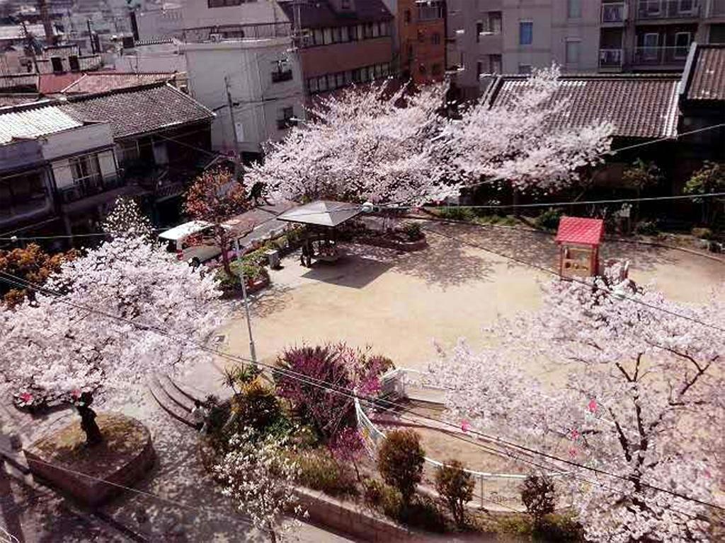 Apartment W.k *