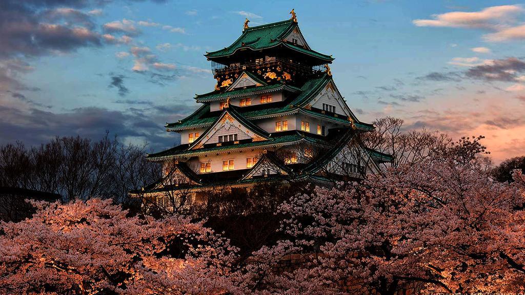 Ninja House Guest house
