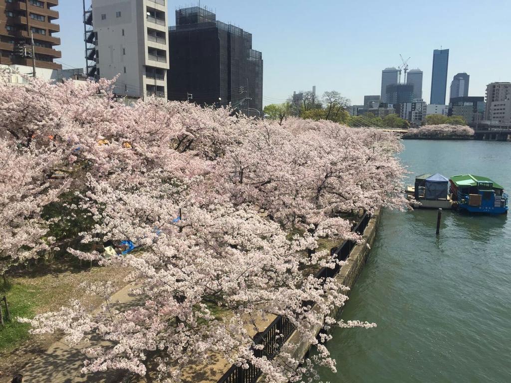 Watei Hatsune * Osaka