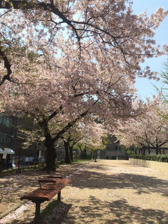 Watei Hatsune * Osaka