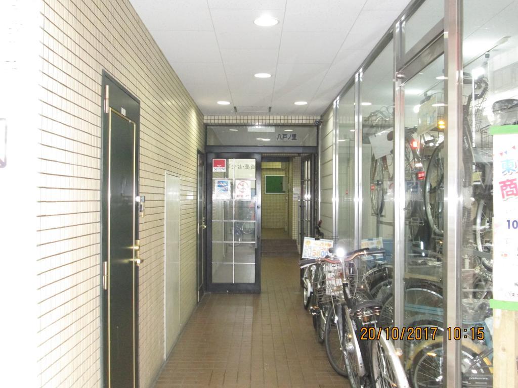 Hostel Dolphin House