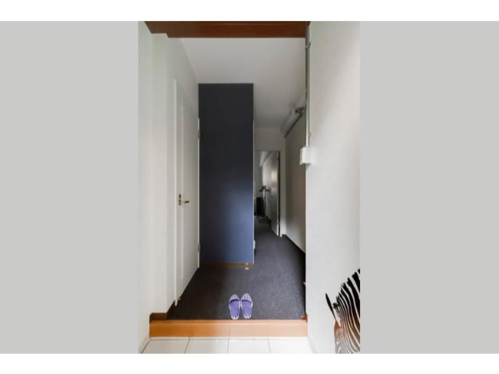 The Wonder At Stay-bentencho-