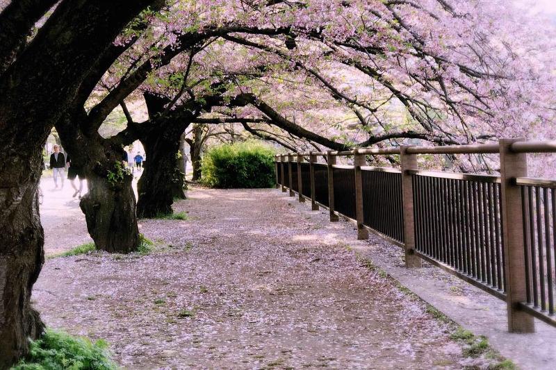 Shinsaibashi Grand Hotel 3*