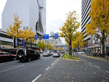 Art Namba Hotel 3*