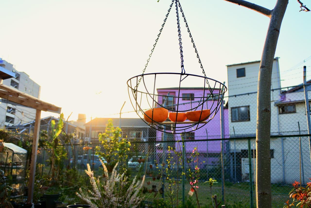 Guest house Kamagasaki Of The Arts Cafe Garden Aka Cocoroom Osaka