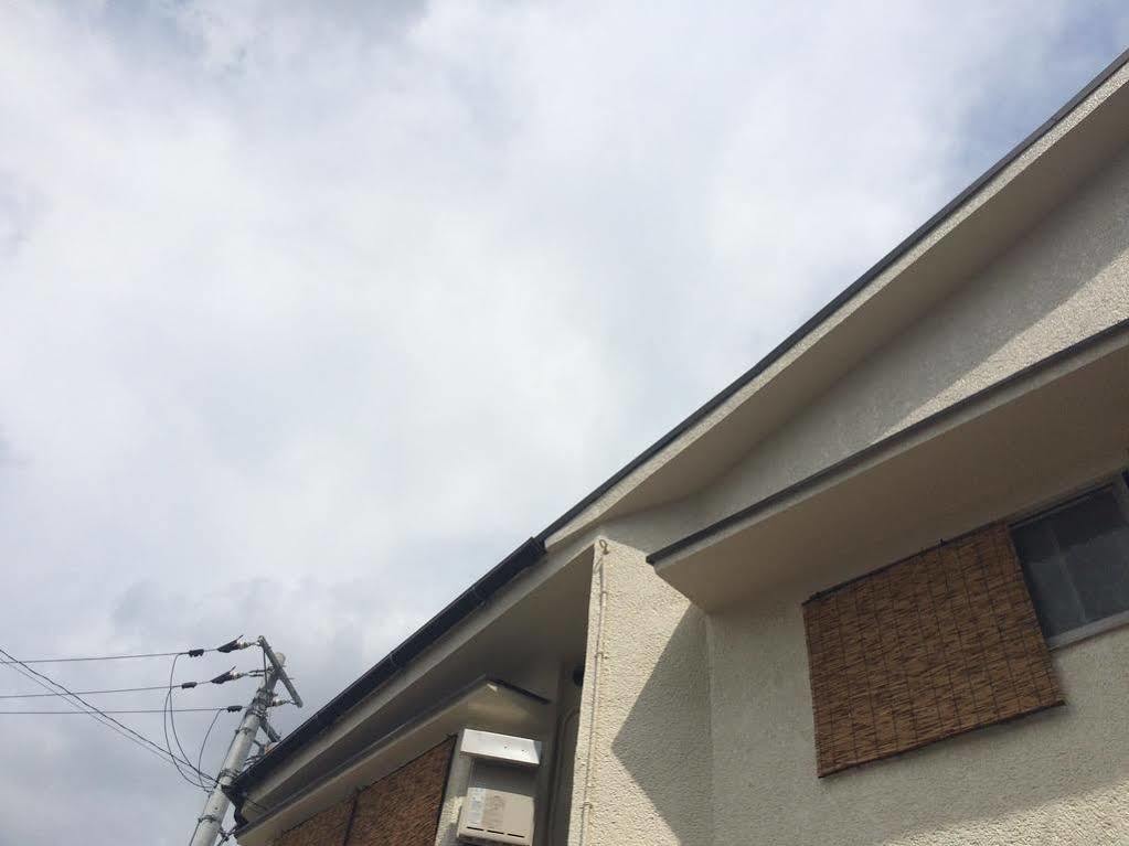 Guest house Oasis 2*