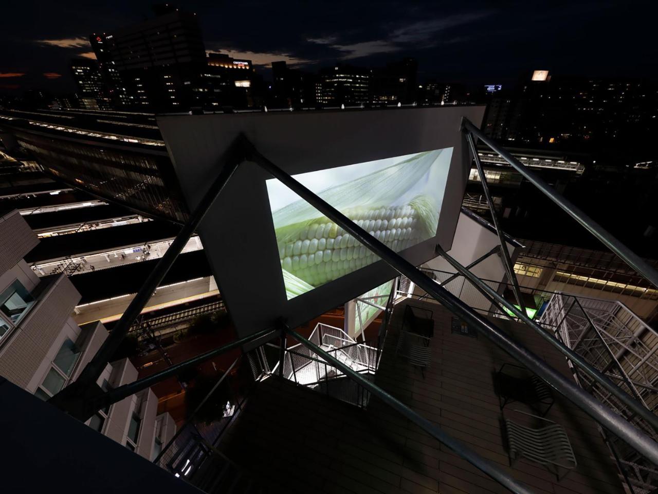 Nine Shin Station Capsule hotel 2*