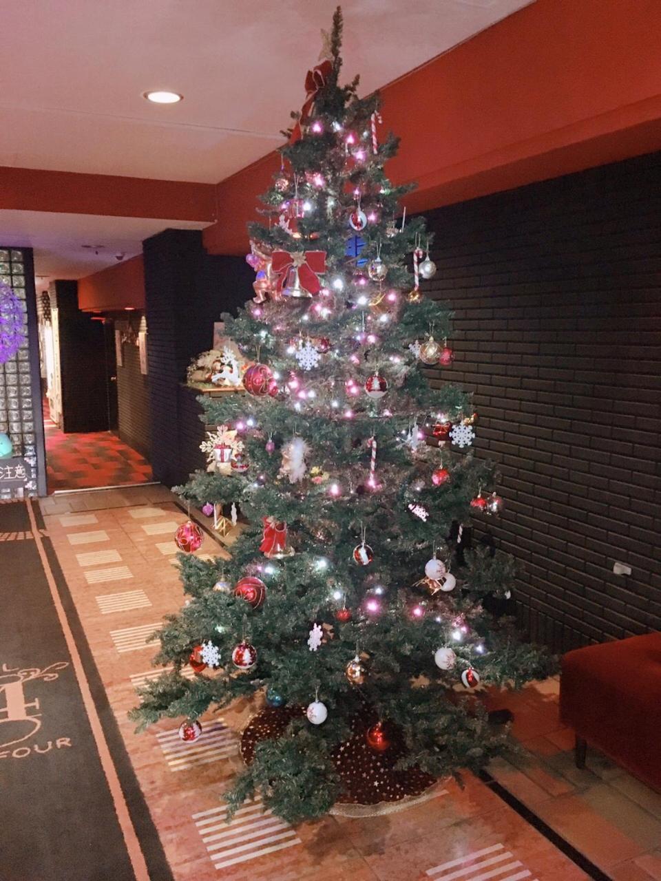 Hotel 24 *