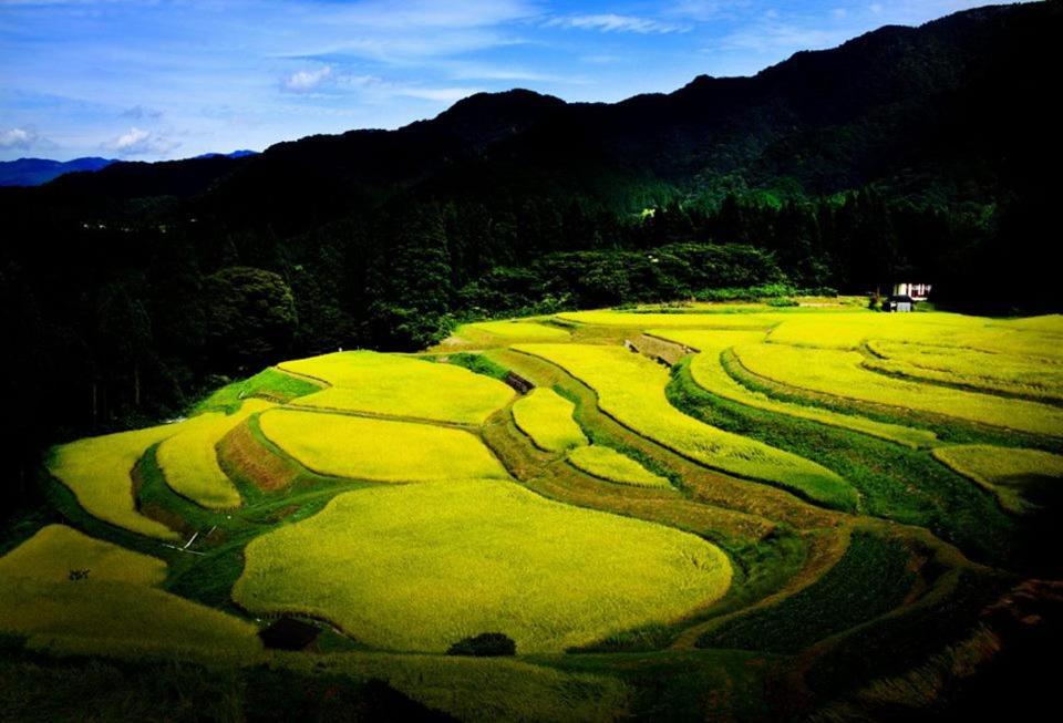 Suminoya *