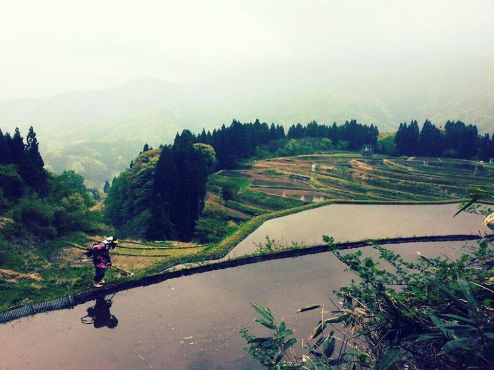 Guest house Suminoya