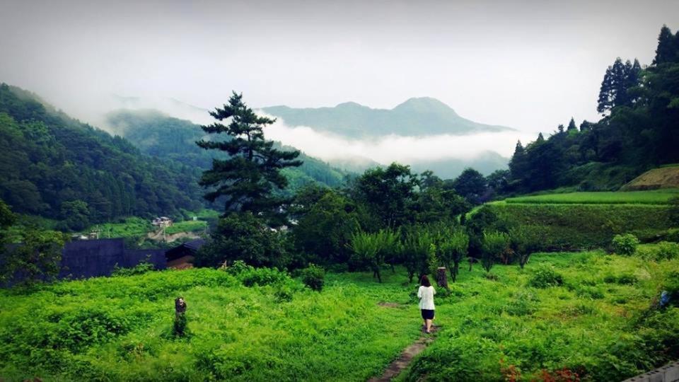 Suminoya *