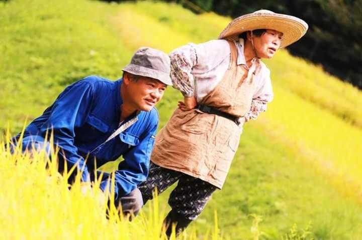 Suminoya *