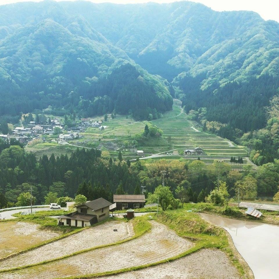 Guest house Suminoya