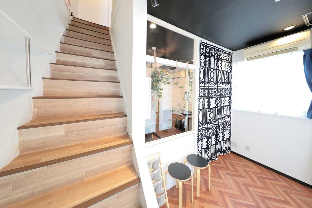 Apartment Vivid Zebra House