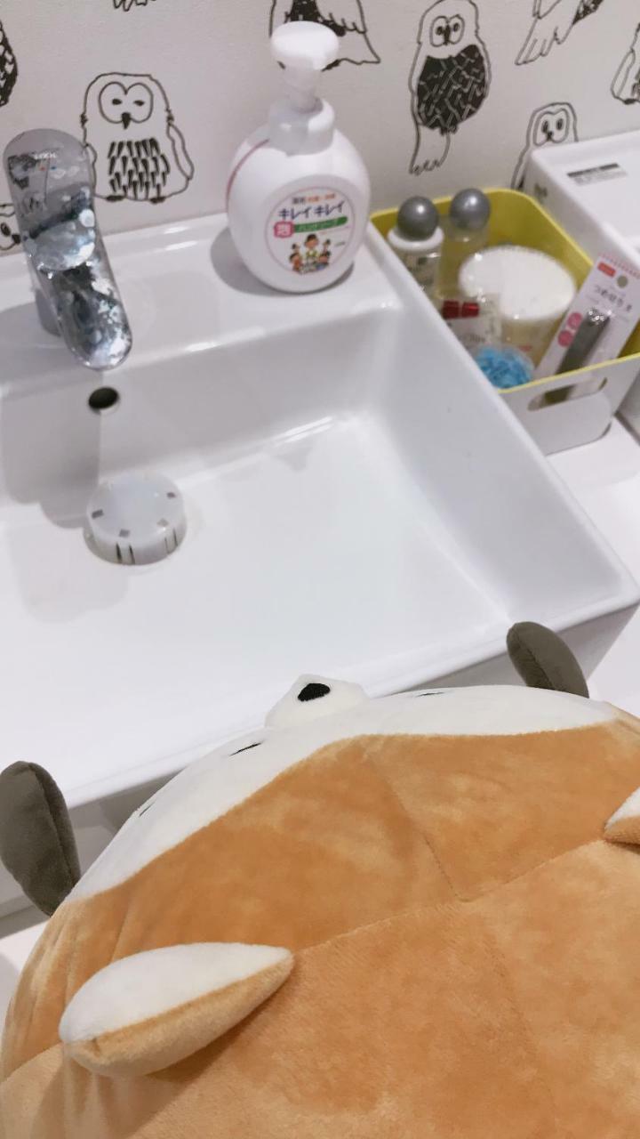 Dian Hostel/guesthouse Namba Osaka