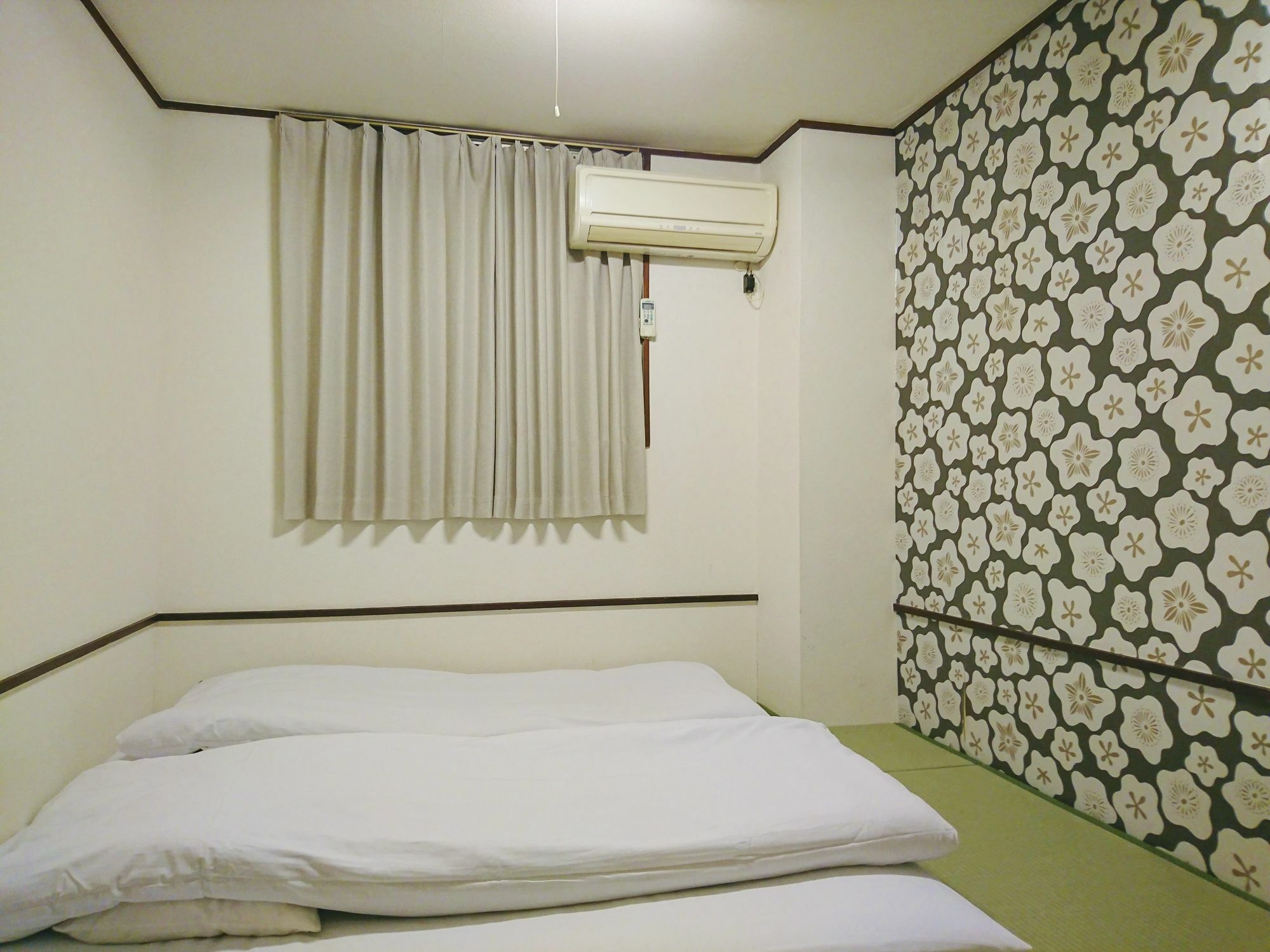 Backpackers Toyo *