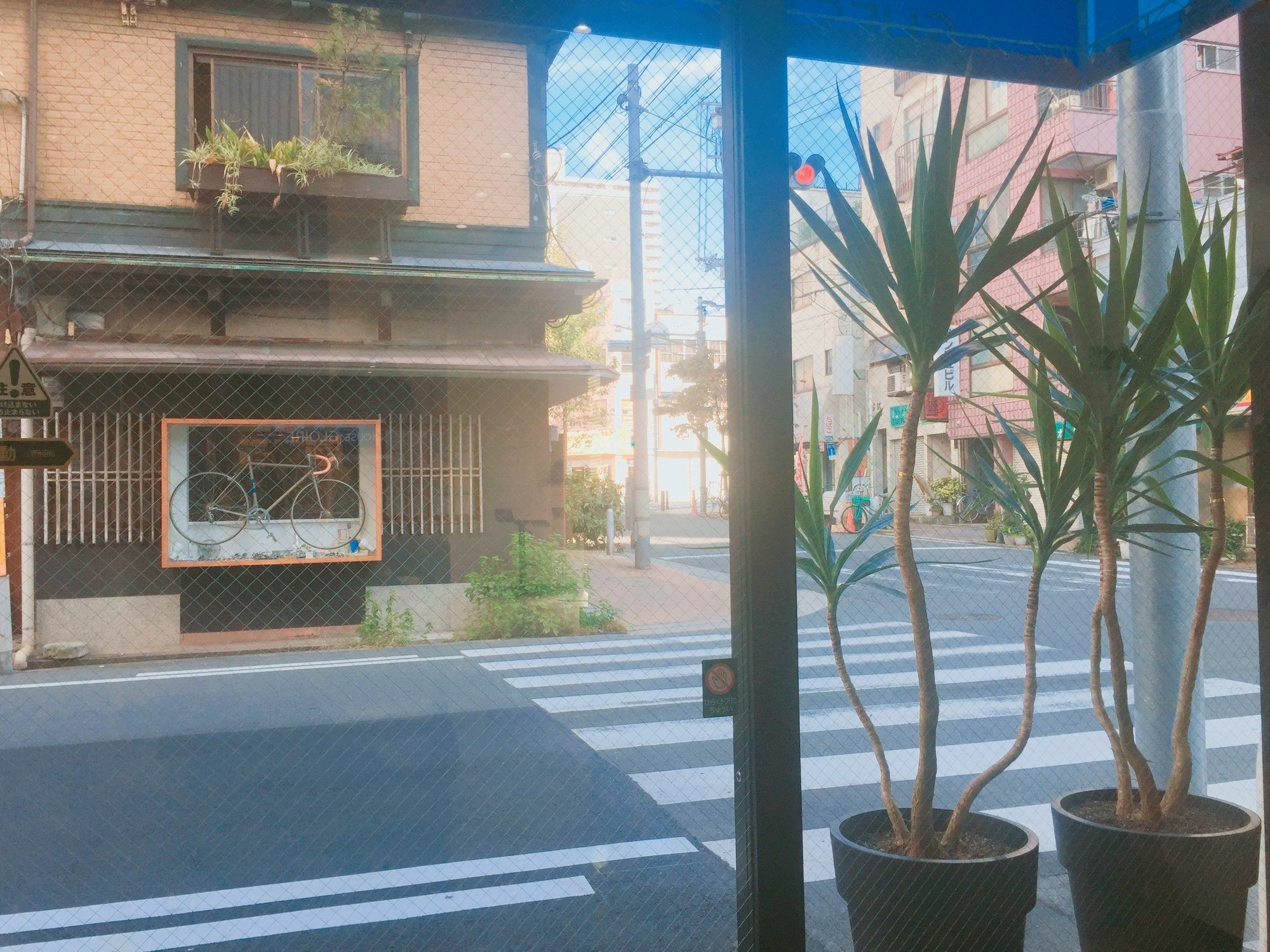 Gloire Osaka