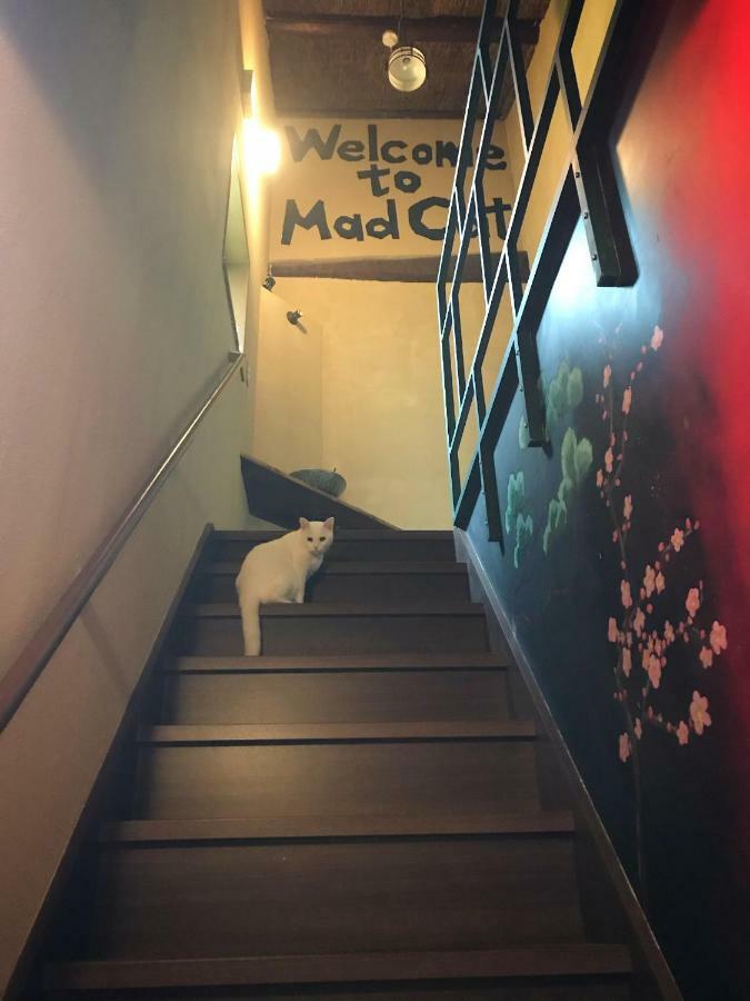 Mad Cat & Bar Hostel