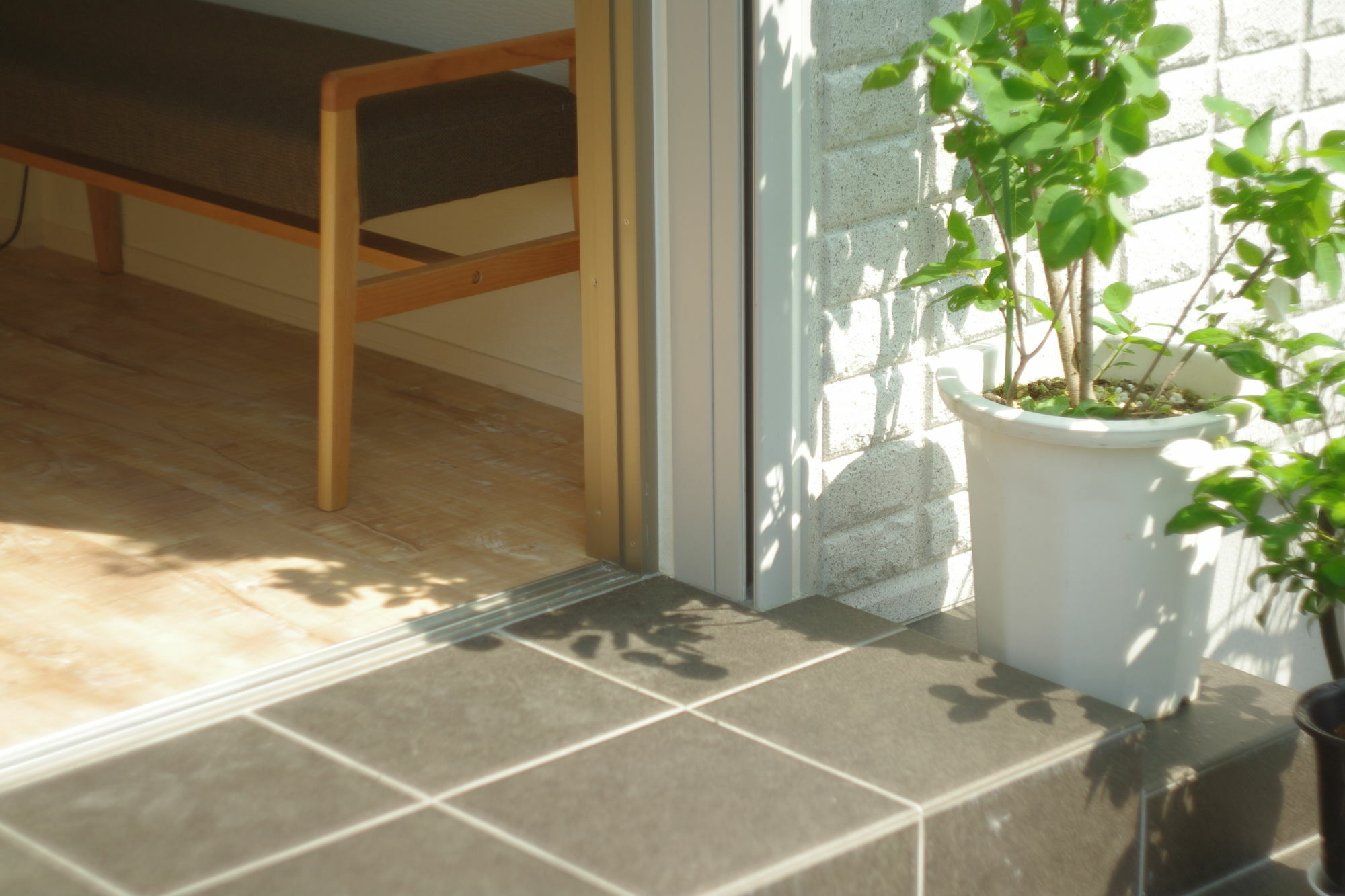 Apartment Poly