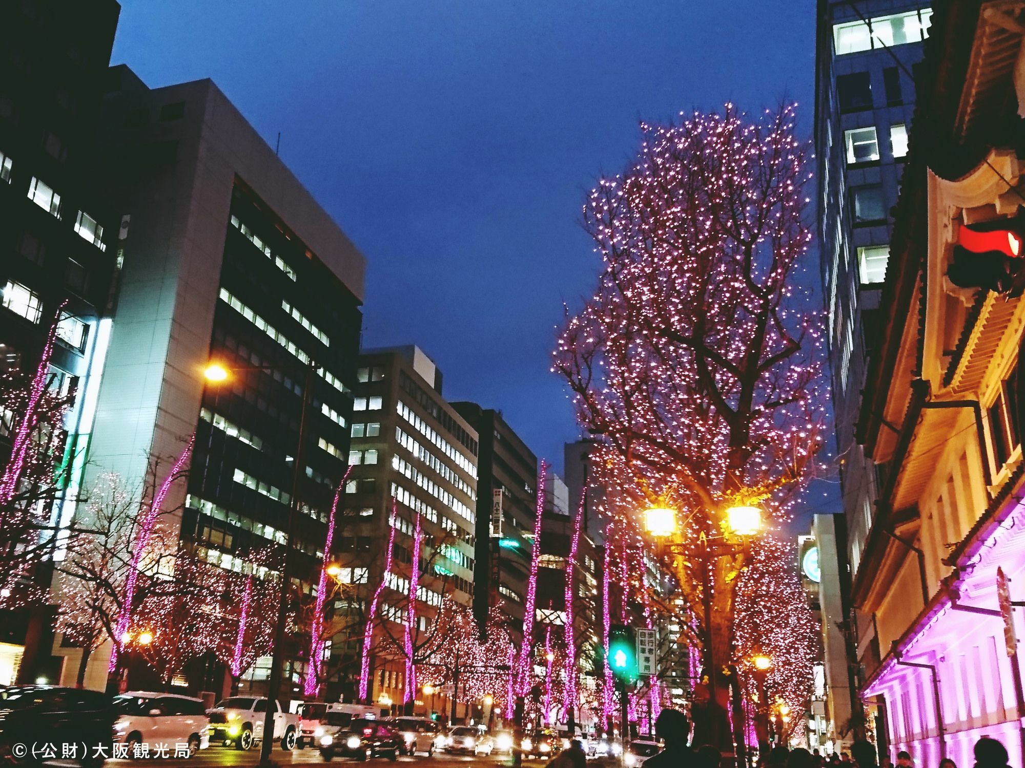 Wbf Namba Nippombashi Hotel 3*