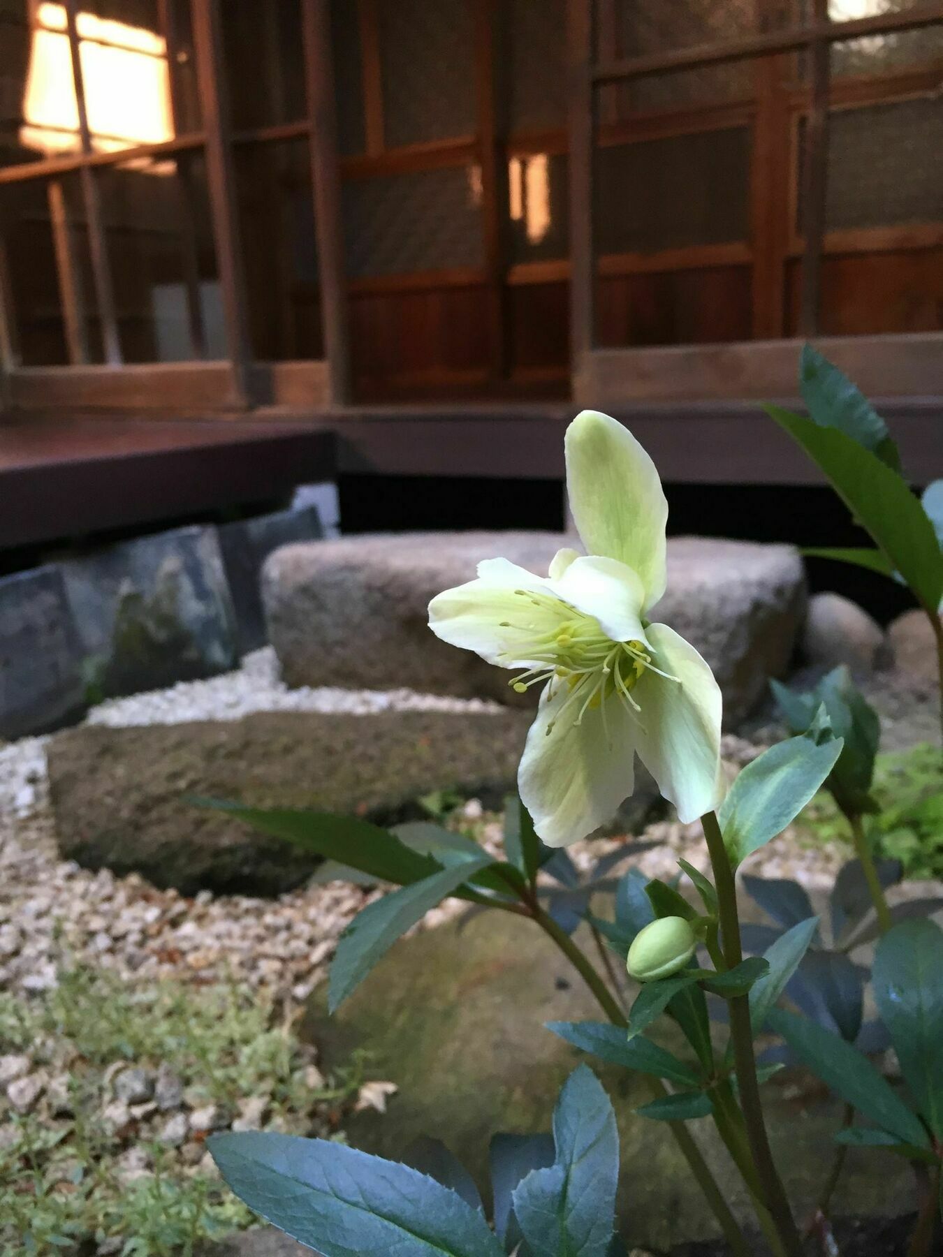 ゲストハウス君彩家 Kimidoriya * Osaka
