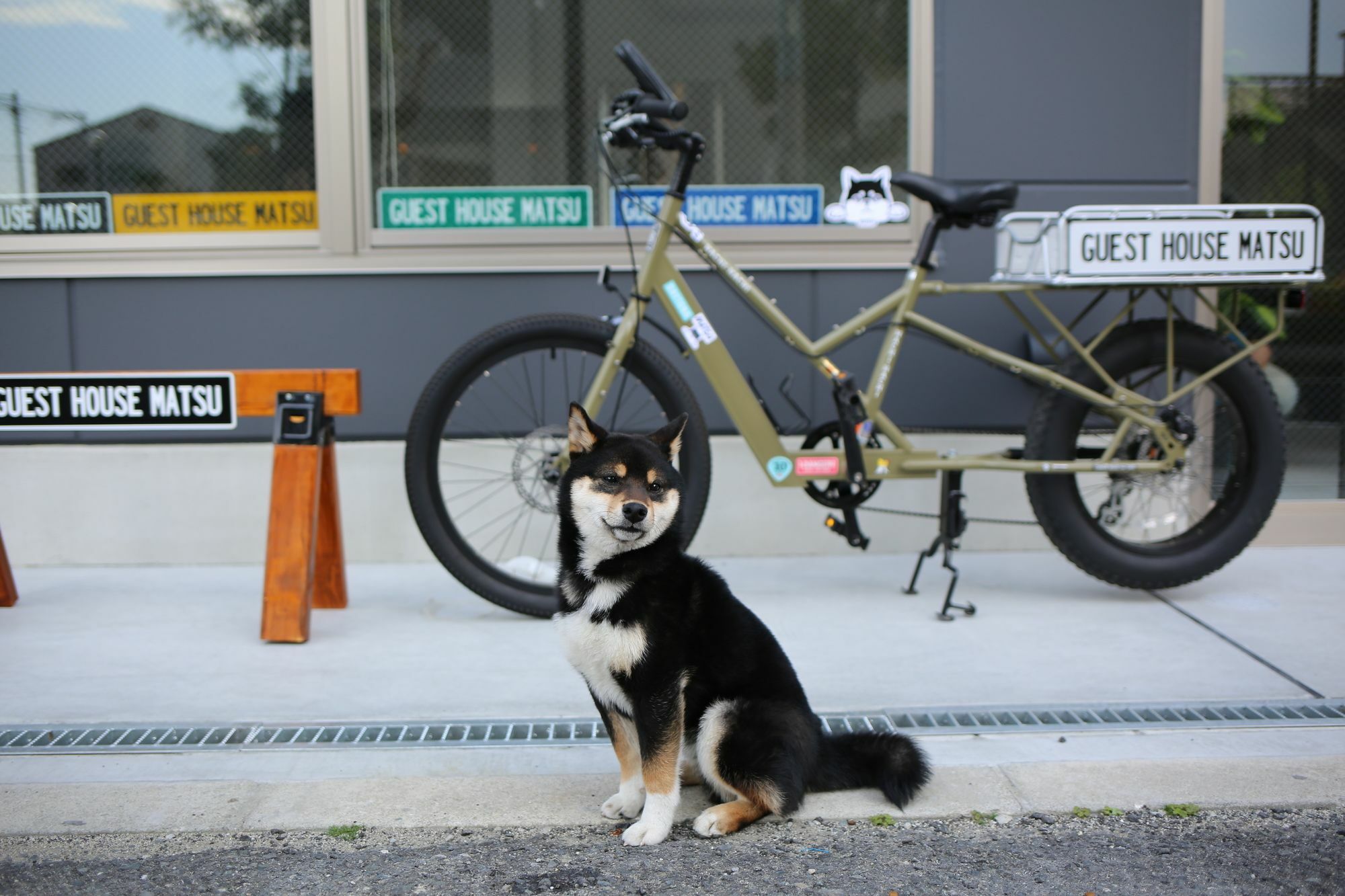 Hostel Matsu *
