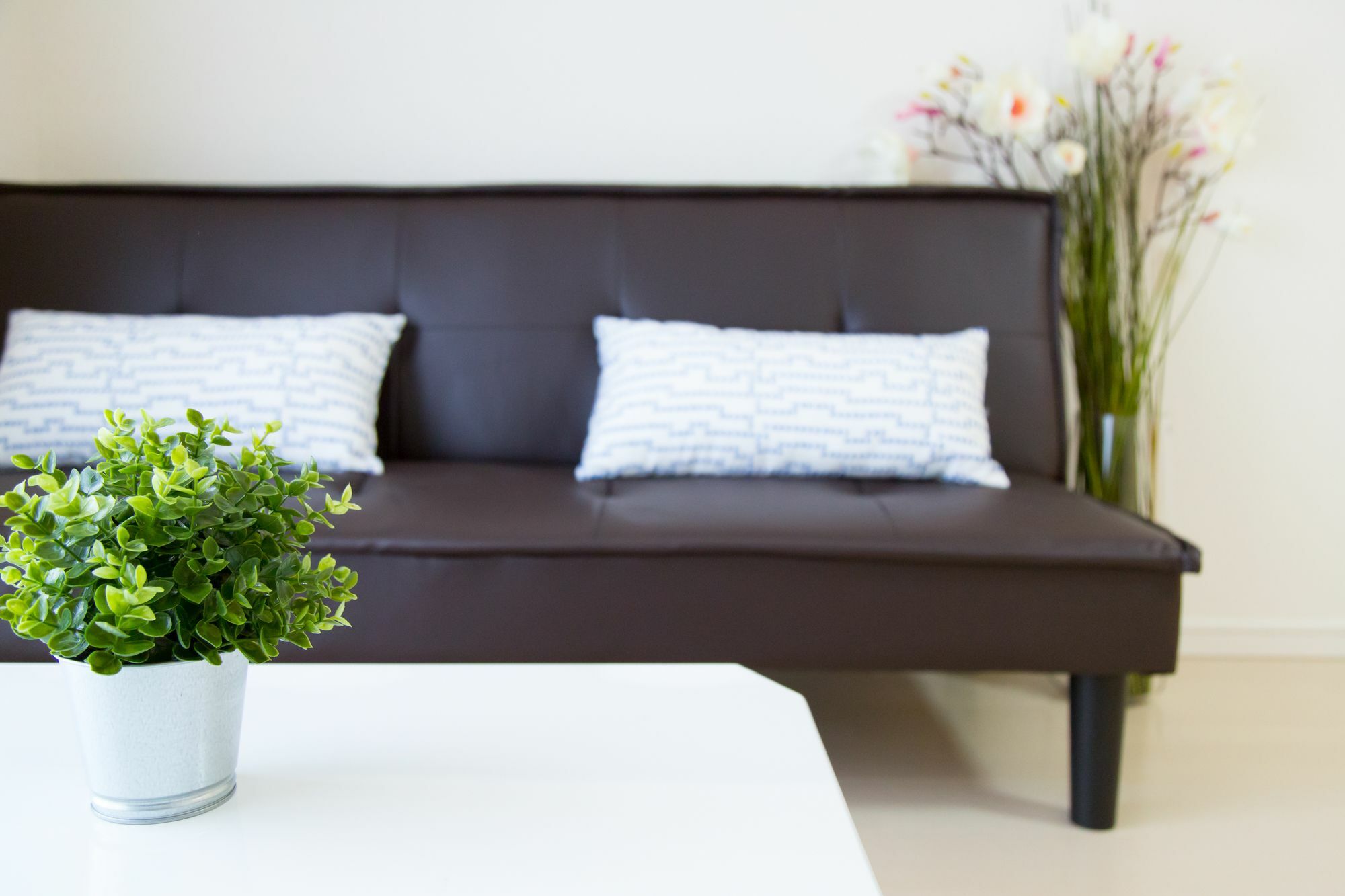 White Chaya 2*