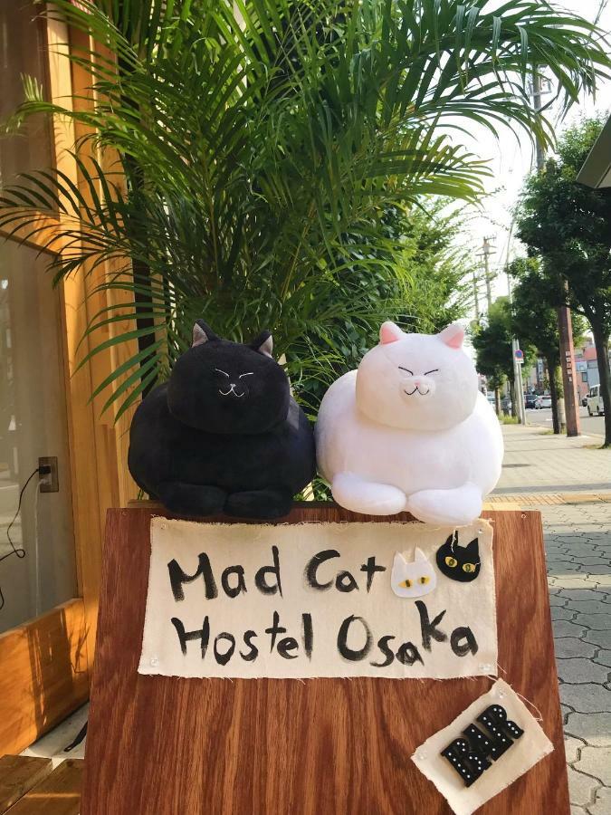 Hostel Mad Cat & Bar *