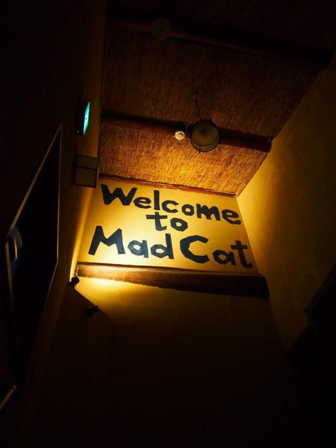 Mad Cat & Bar Hostel Osaka