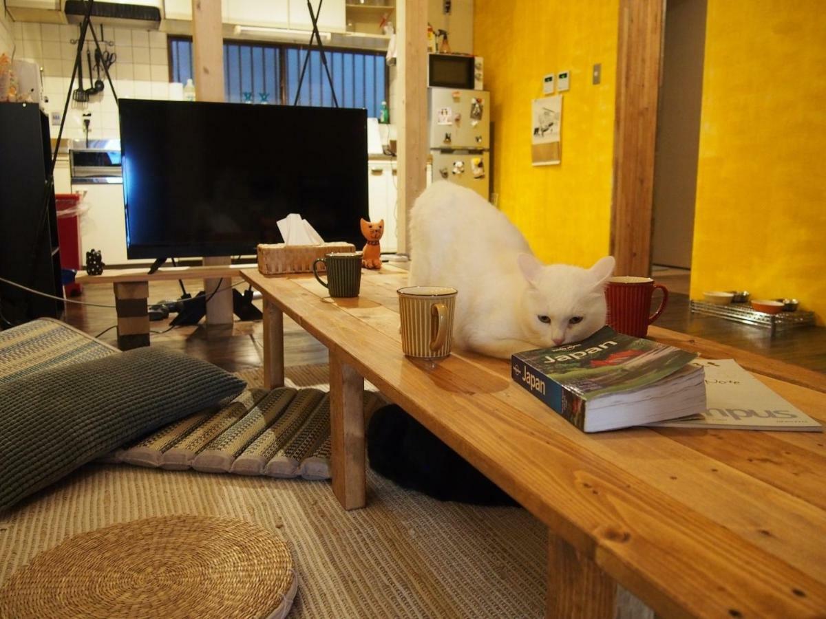 Mad Cat & Bar Osaka