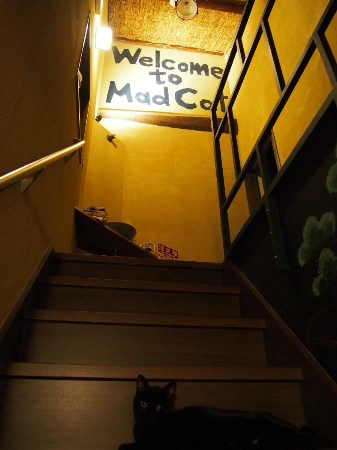 Mad Cat & Bar