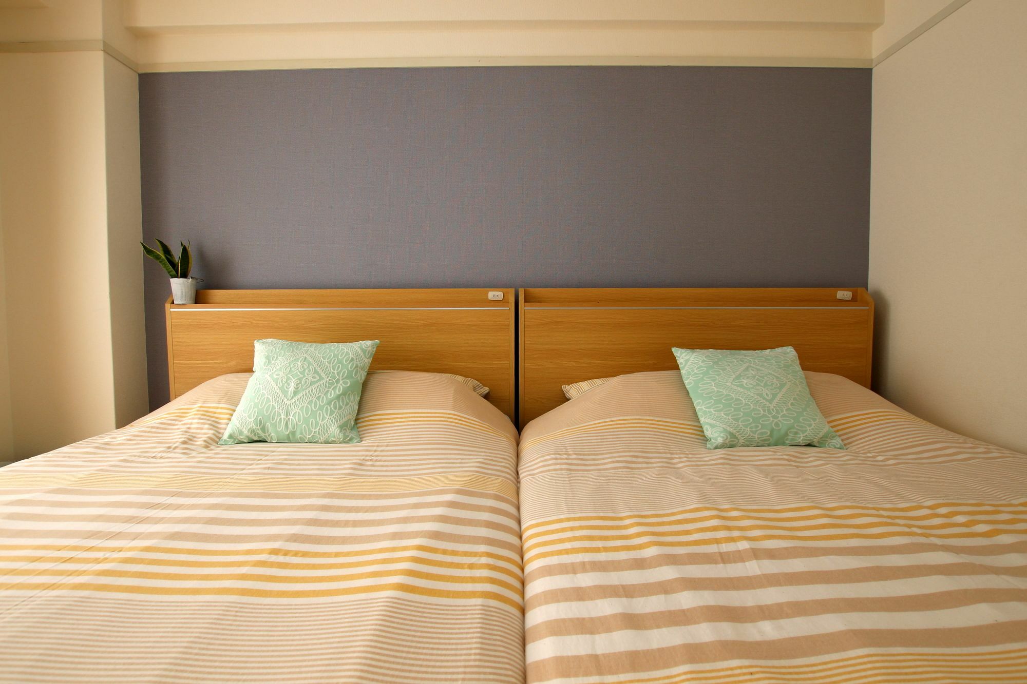Apartment 'teioh' Nishi-shinsaibashi