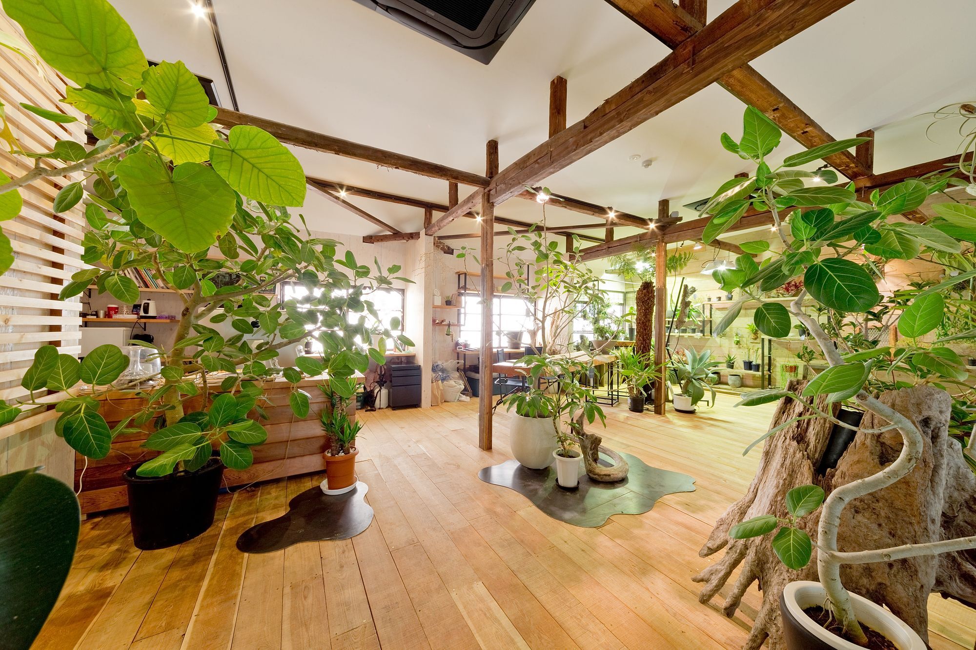Guest house Glamlodge