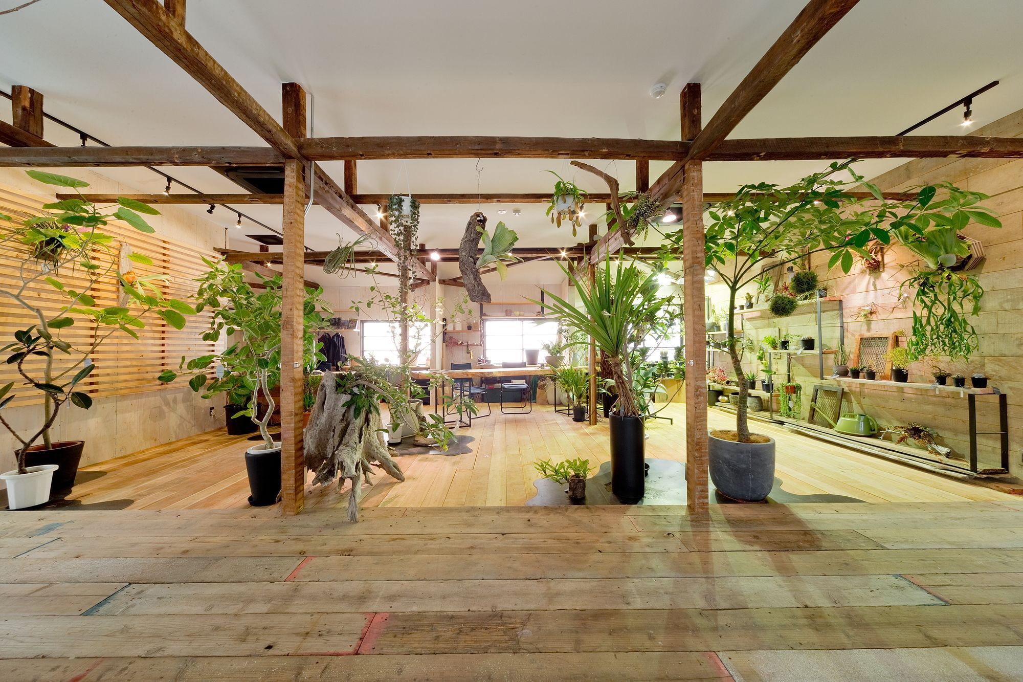 Glamlodge Guest house Osaka
