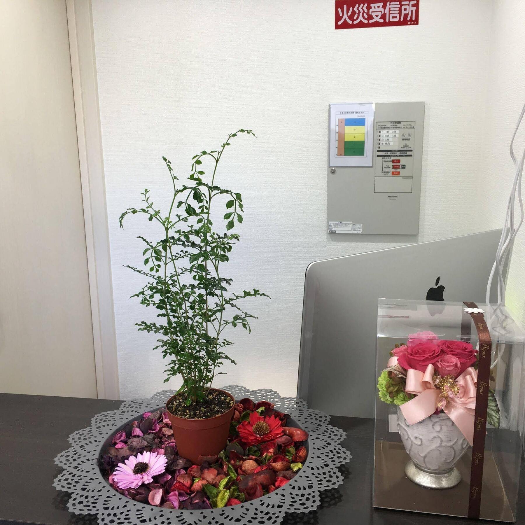 Hostel Coco Namba