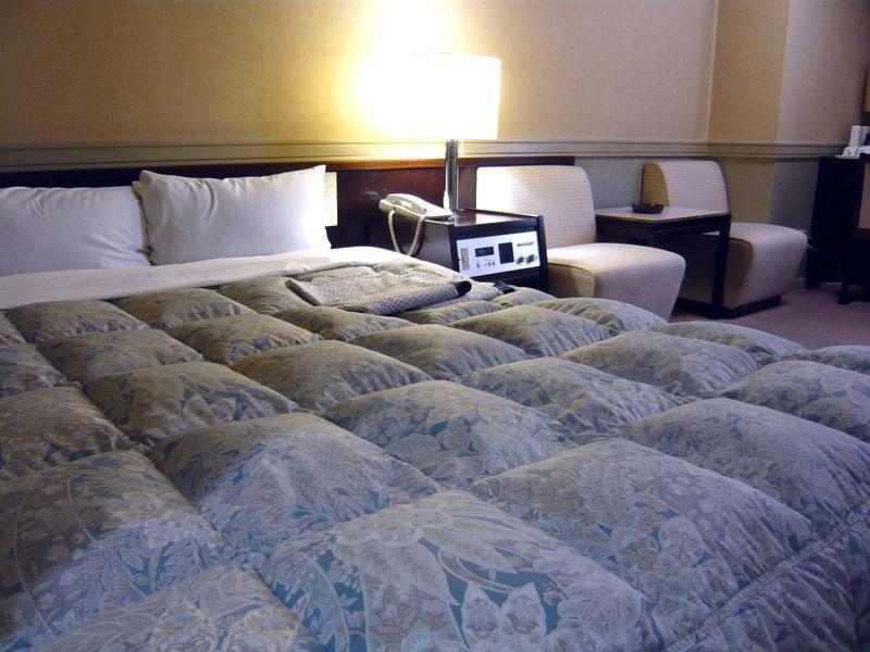Nature Umeda Hotel 3*