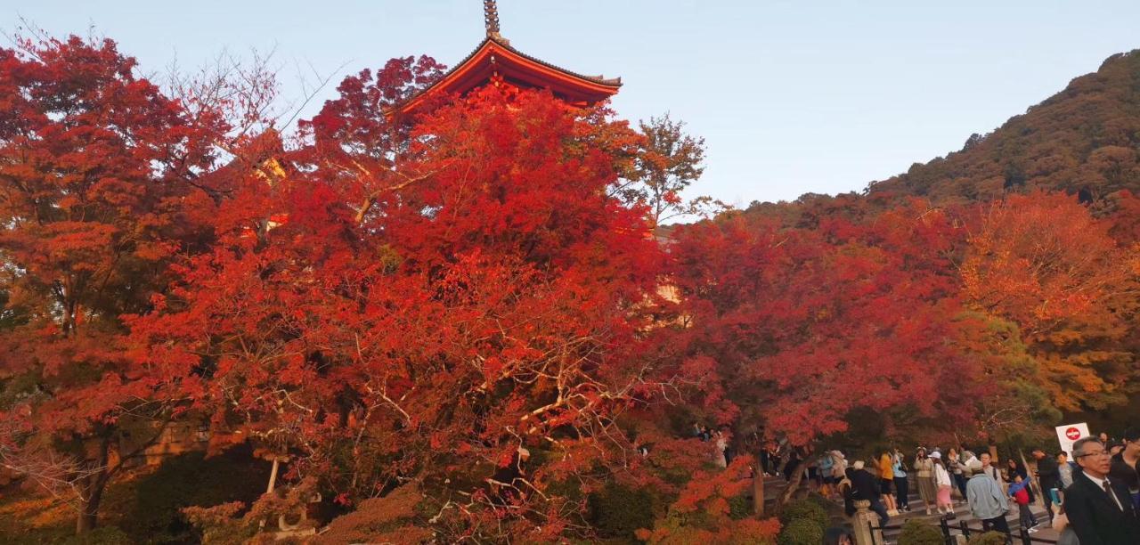 楓