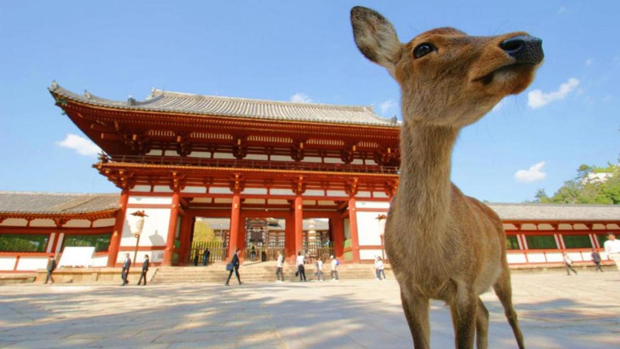 Casa de férias 中川西 地下鉄今里駅一戸建 Samurai House Imazato 難波直通 最大7名