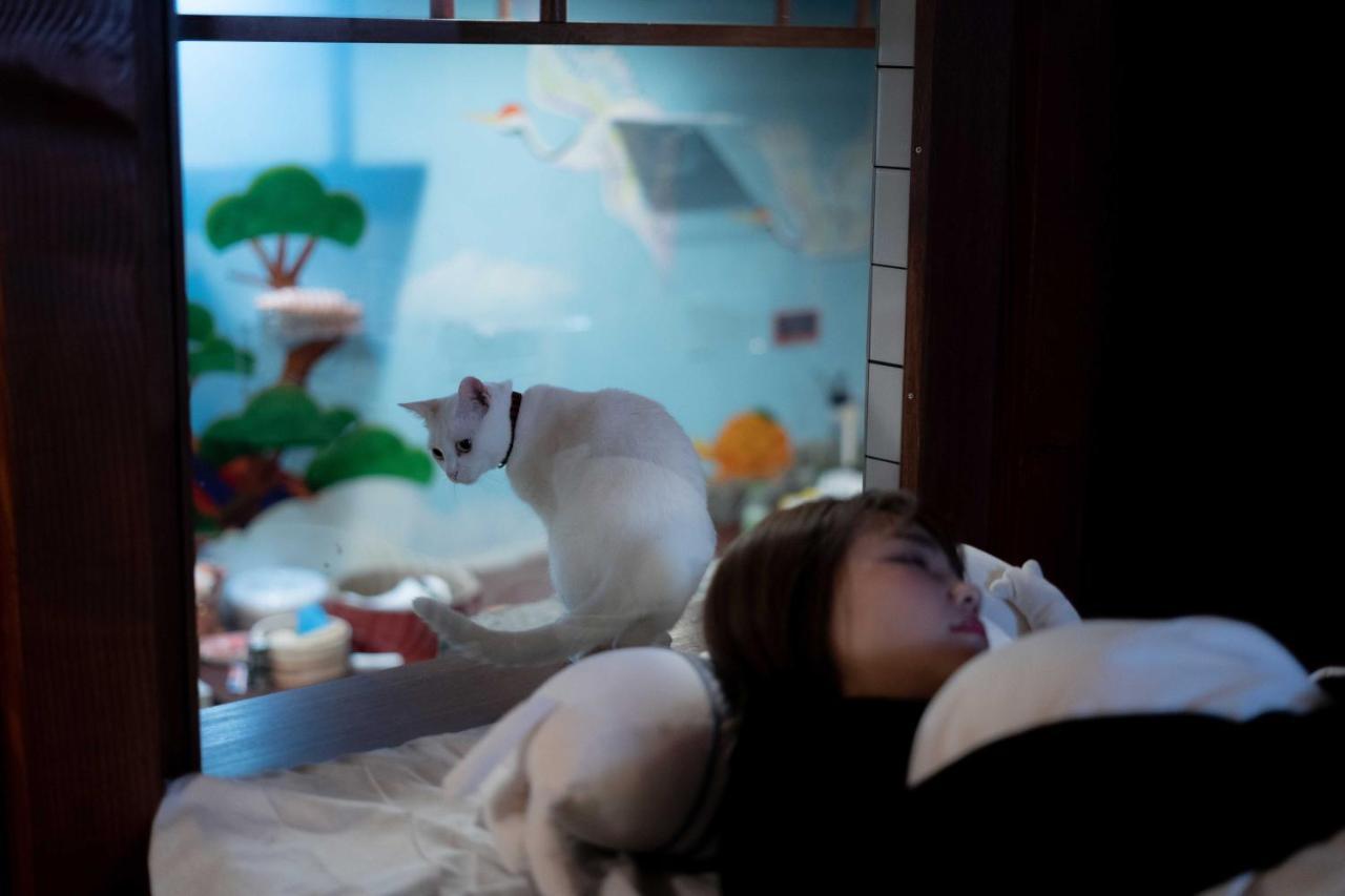 Cat & Cat By Neco Republic *