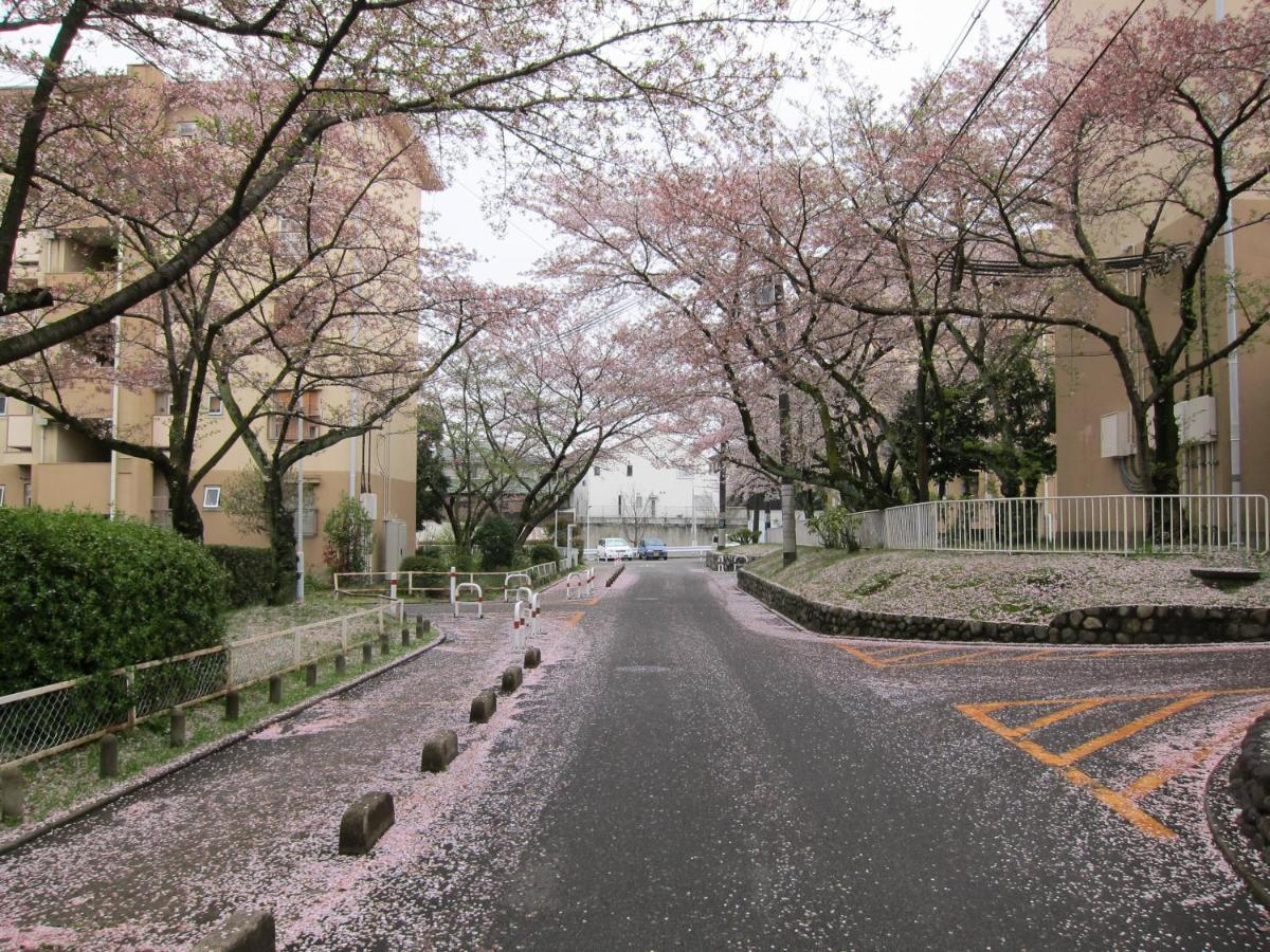 Takuto Hommachi West