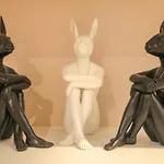 D3 Hotel Gallery2