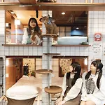 Cat Spa & Cat Ryokan By Neco Republic Osaka