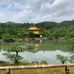 むつみ庵此花301