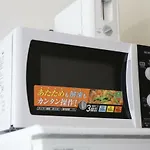 Exsaison Shirokita 502