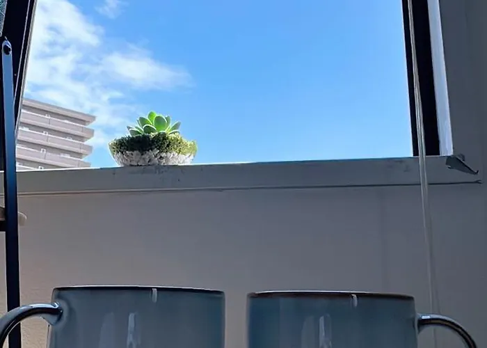 Cc House