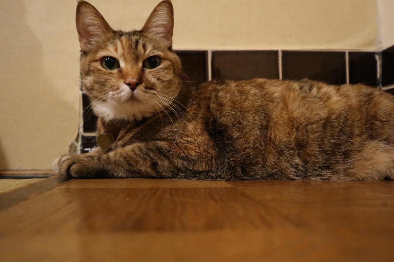 Hotel Daiki