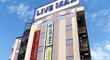 Livemax Budget Shinosaka 2* Osaka