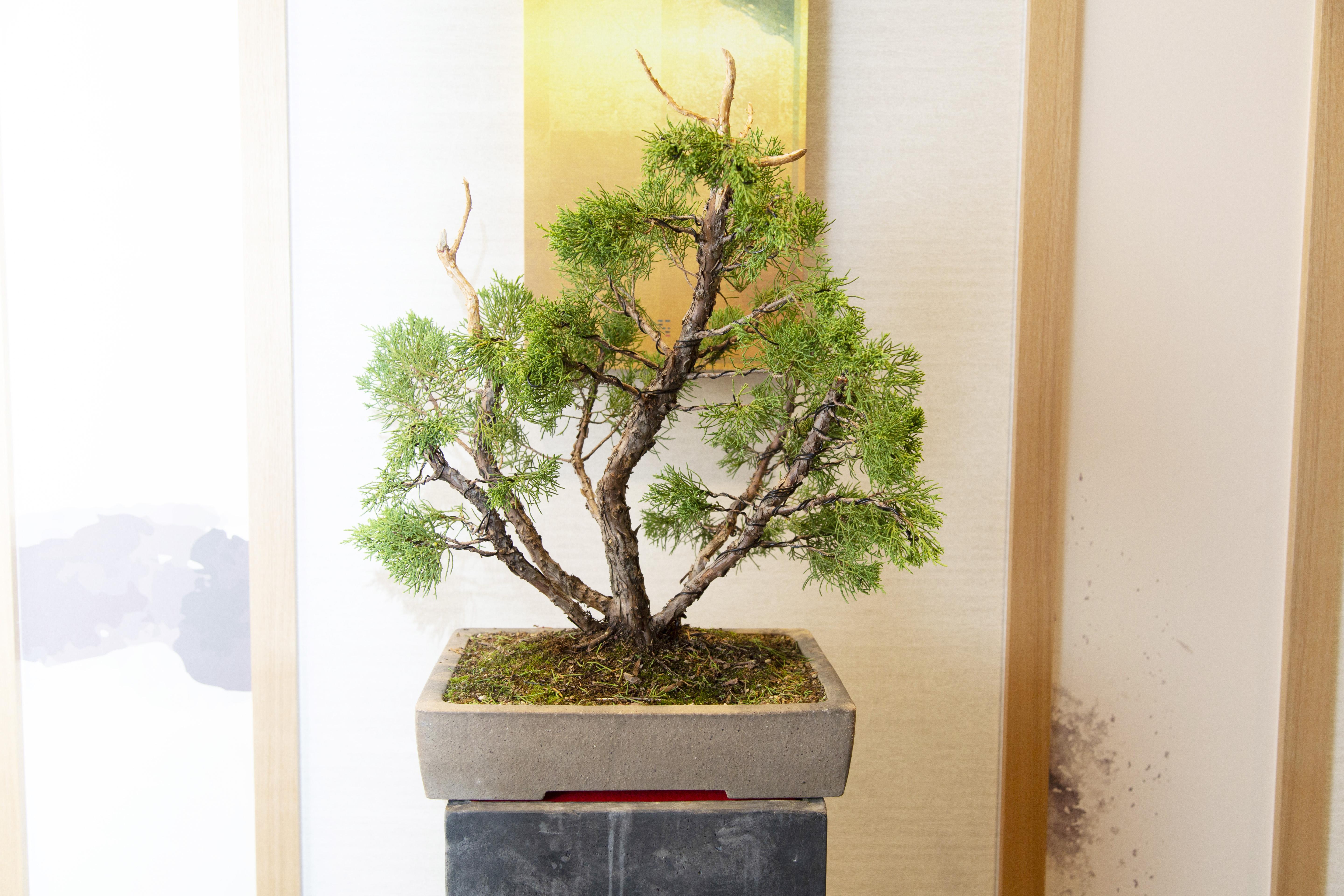 Hotel Hillarys Shinsaibashi